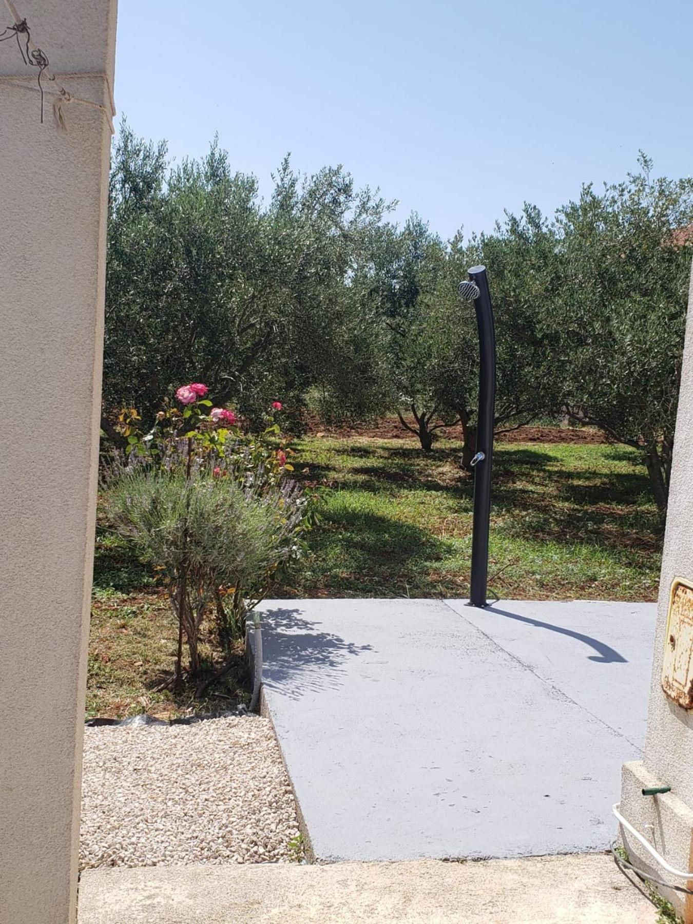 Apartmani Ciklic Dobropoljana Exterior foto